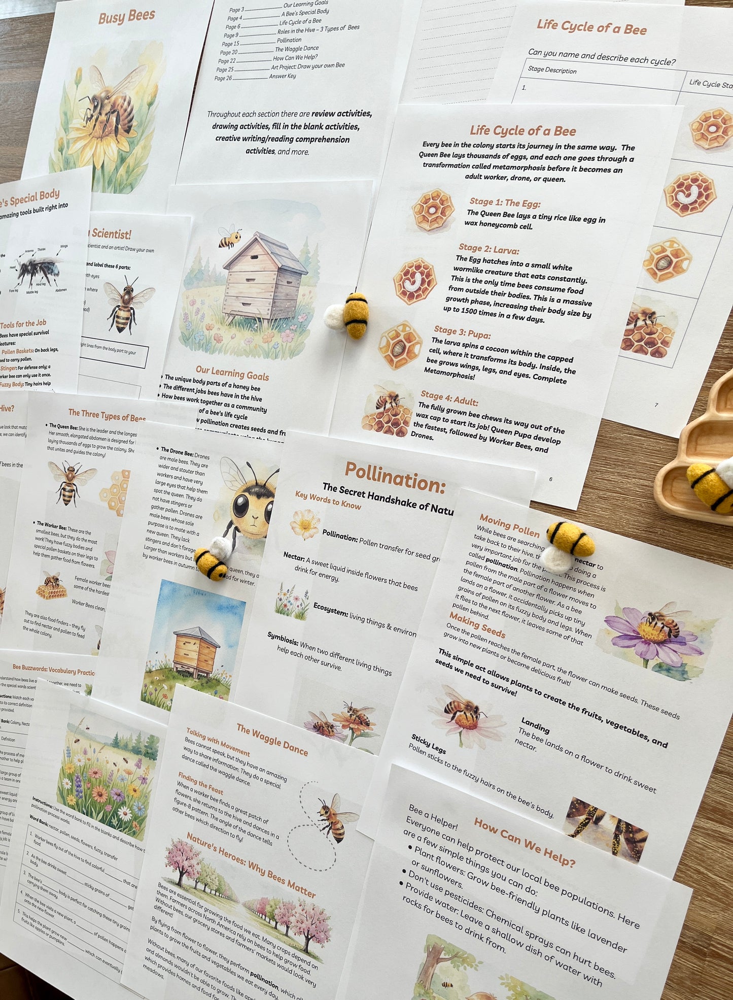 Digital Download | Bees Unit Study