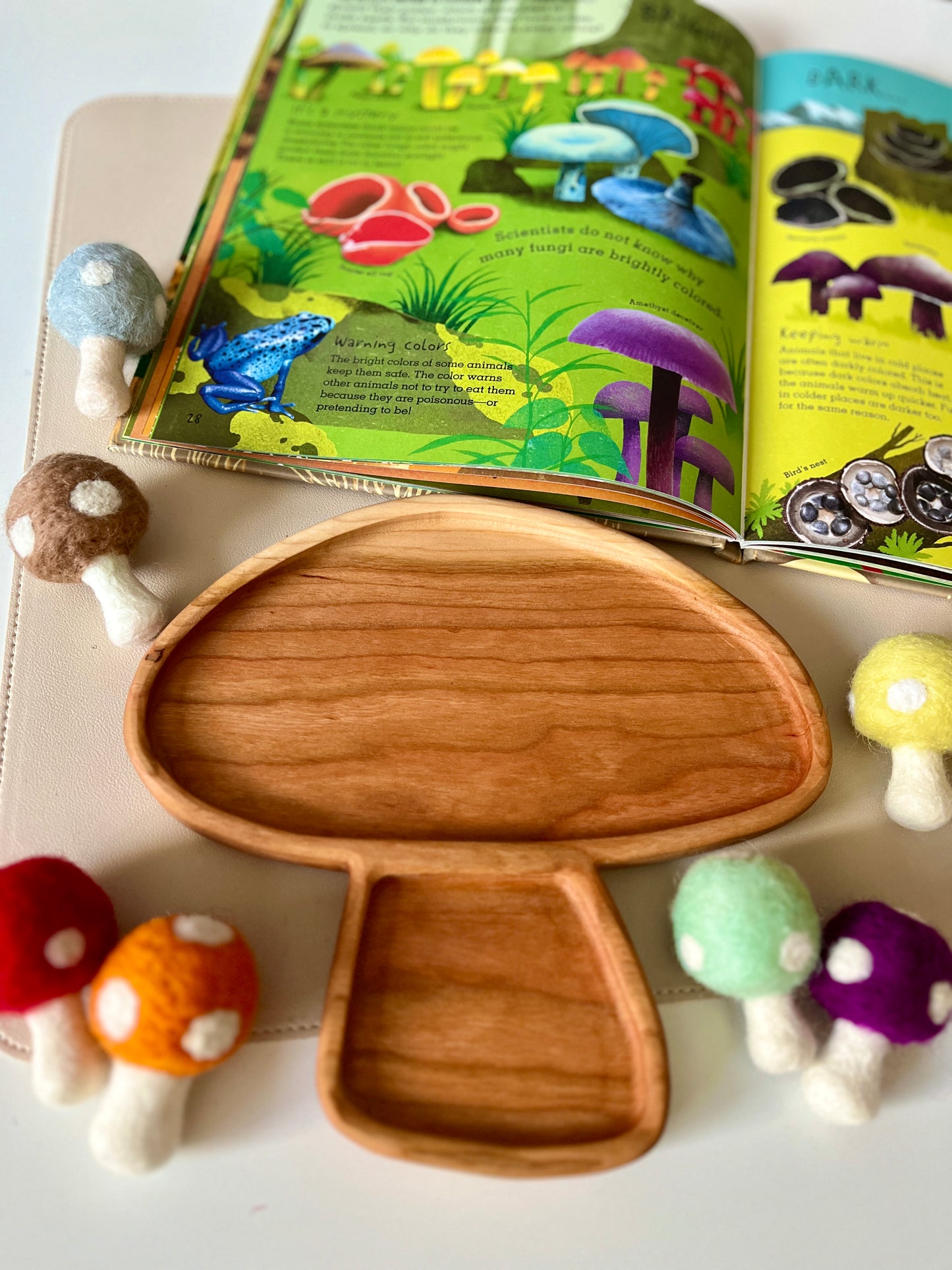 Mushroom Plate Larger Size / Sensory Tray