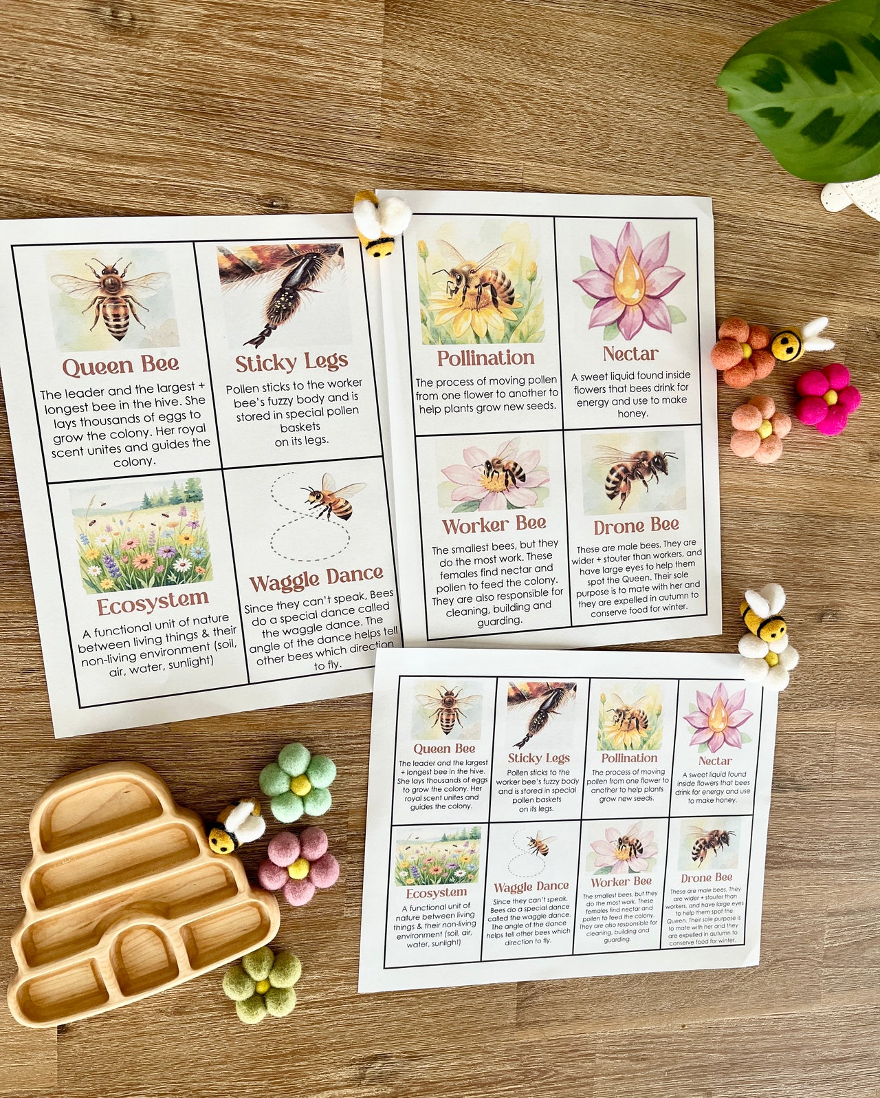 Digital Download | Bee Informational Flash Cards | Comes With 2 Sizes featuring illustrated cards on bee roles, pollination, and ecosystem alongside wooden bee-shaped trays and felt flower sensory fillers, handcrafted homeschool education resources.