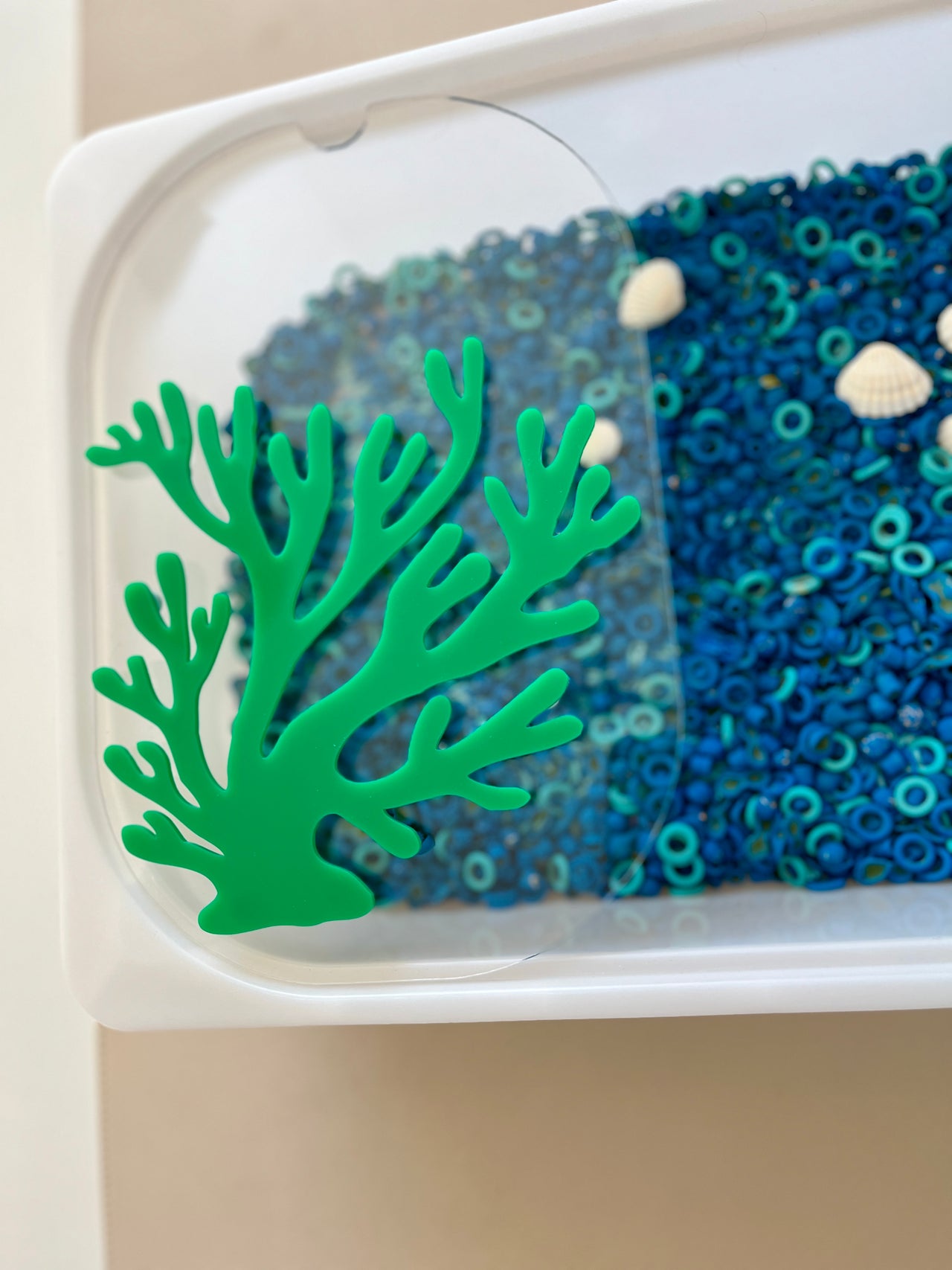 Clear plastic container with blue sensory beads, small seashells, and green coral-shaped decoration on white surface