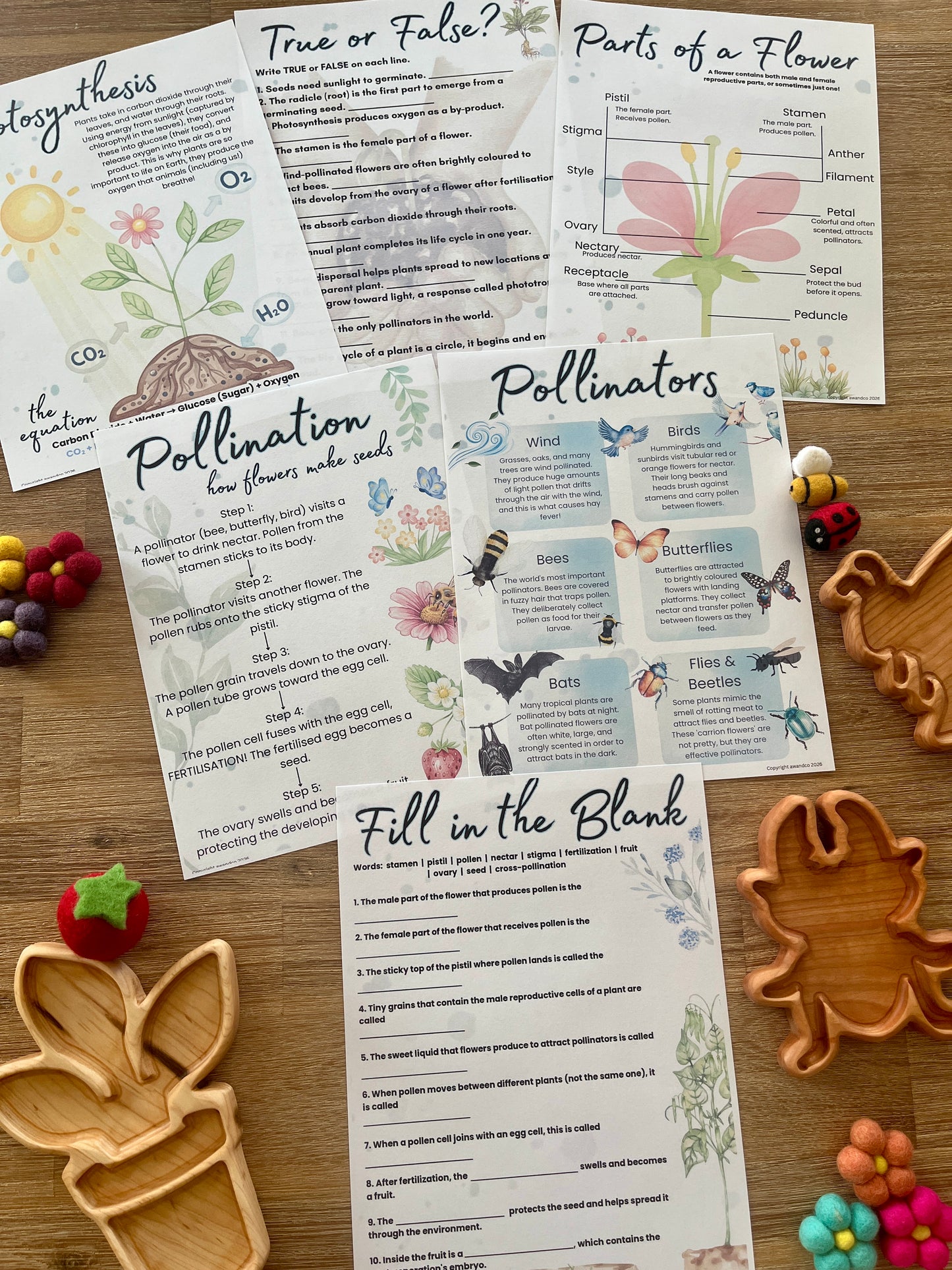Printable homeschool education pages featuring flower anatomy, pollination process, true or false questions, and fill-in-the-blank exercises arranged on a wooden surface with natural, handcrafted learning tools for Digital Download | Spring Gardening Complete Unit Study.