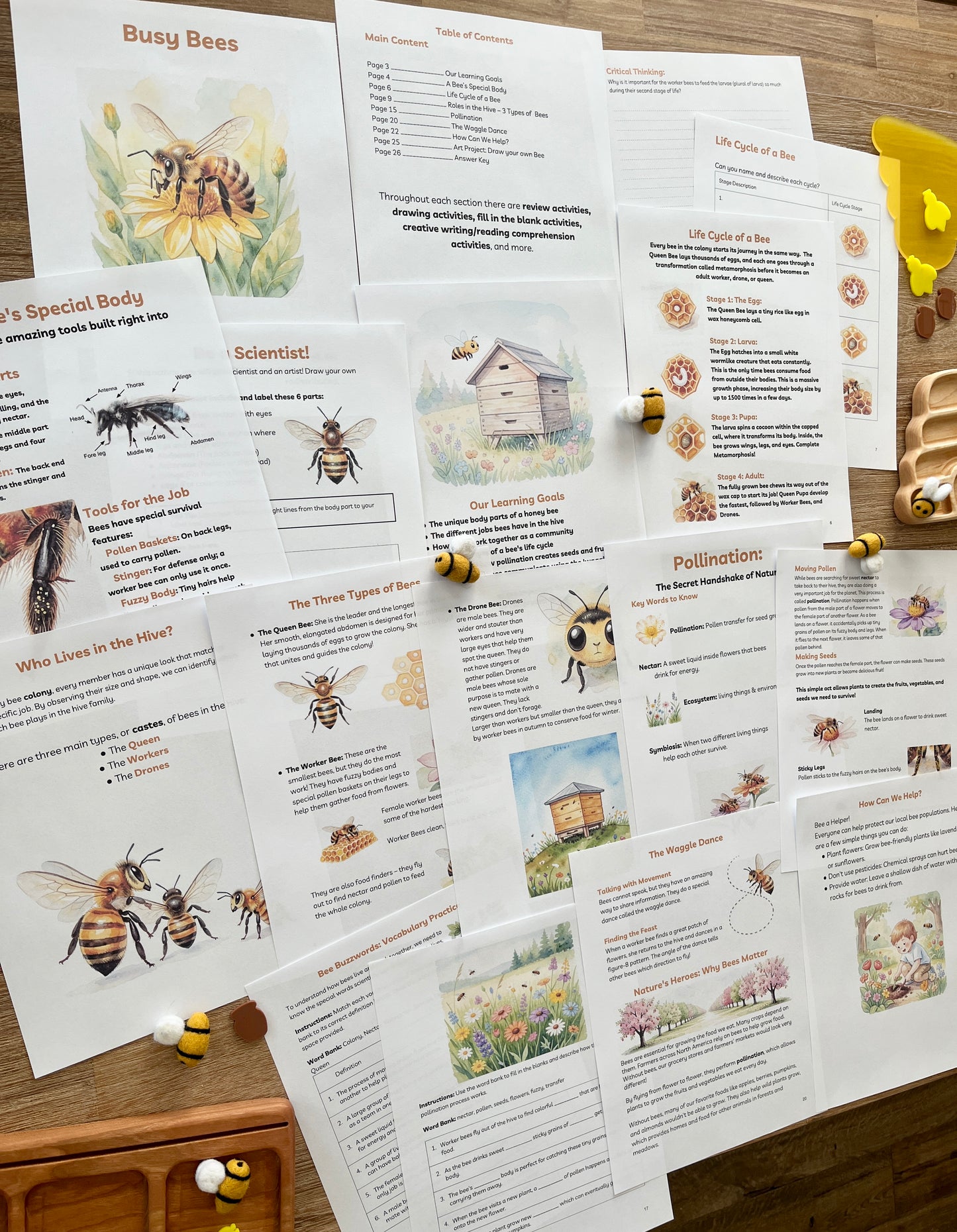 Digital Download | Bees Unit Study