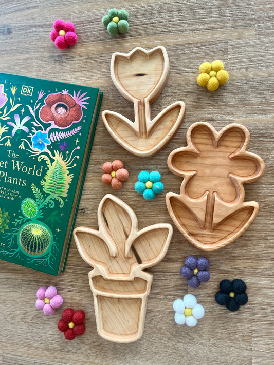 Plant and Flower Trays