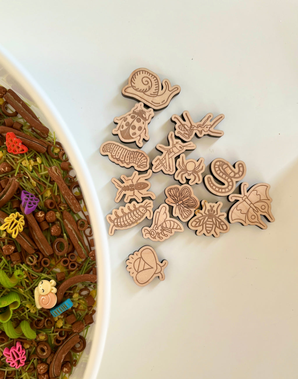 Wooden insect, bug, and snail-shaped cutouts with engraved details arranged near a bowl of craft materials on white surface
