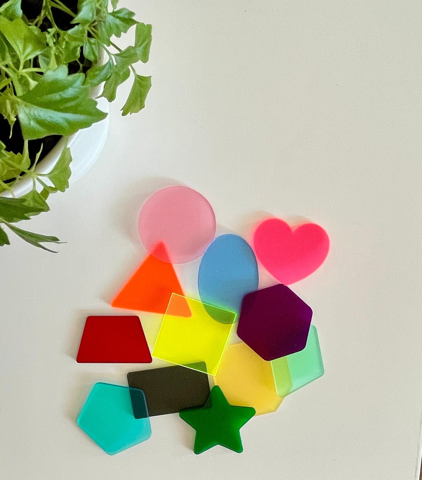 Little Dry Erasables — Translucent Shapes, 12, Solid Colours Available
