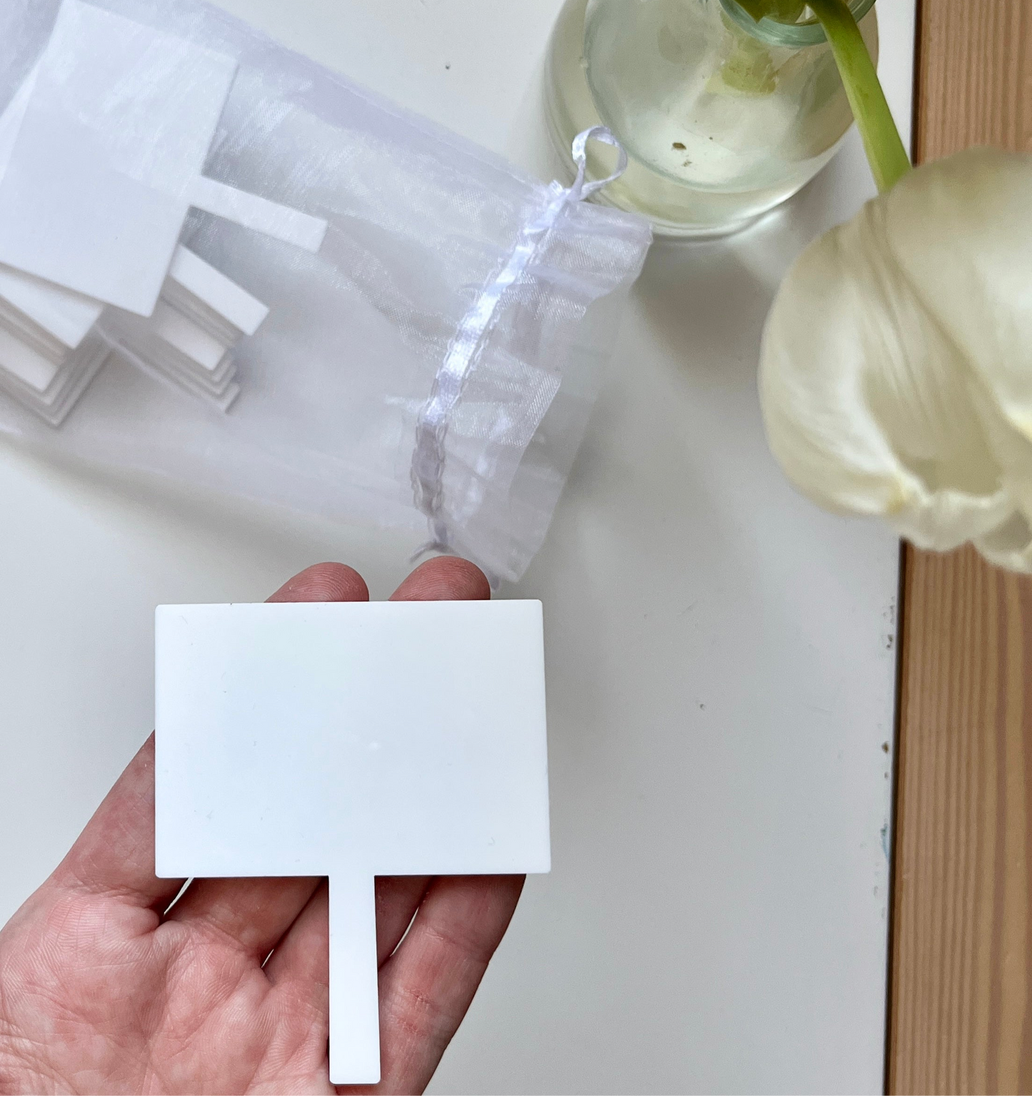 Little Dry Erasables — Signs / Picket Signs
