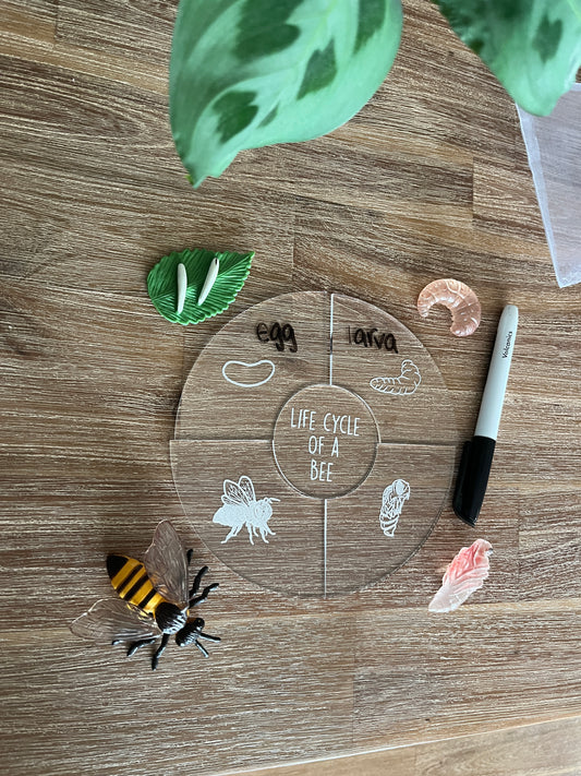 Dry Erasable Life Cycle Puzzles