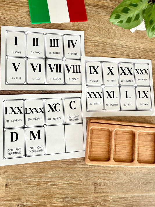 Digital Download | Roman Numeral Flash Cards