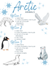 Arctic Animals Mystery Box Bundle