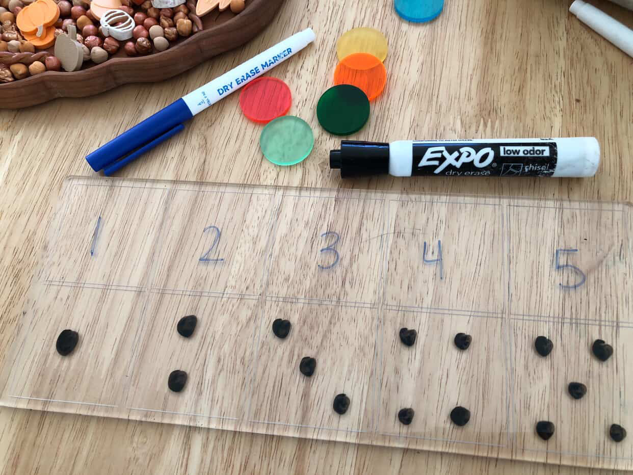 Acrylic Dry Erasable Flat Ten Frame  (5, 15 and 20 frames available too) — Fits across Trofast Bin like a Flisat Insert