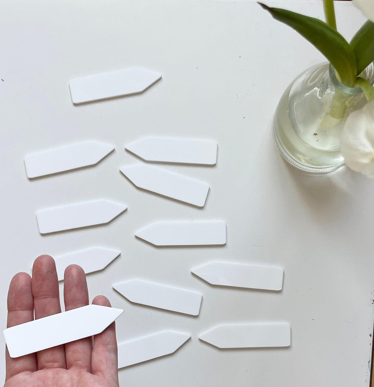 Little Dry Erasables — 12 Piece Set of Pointers / Place Markers