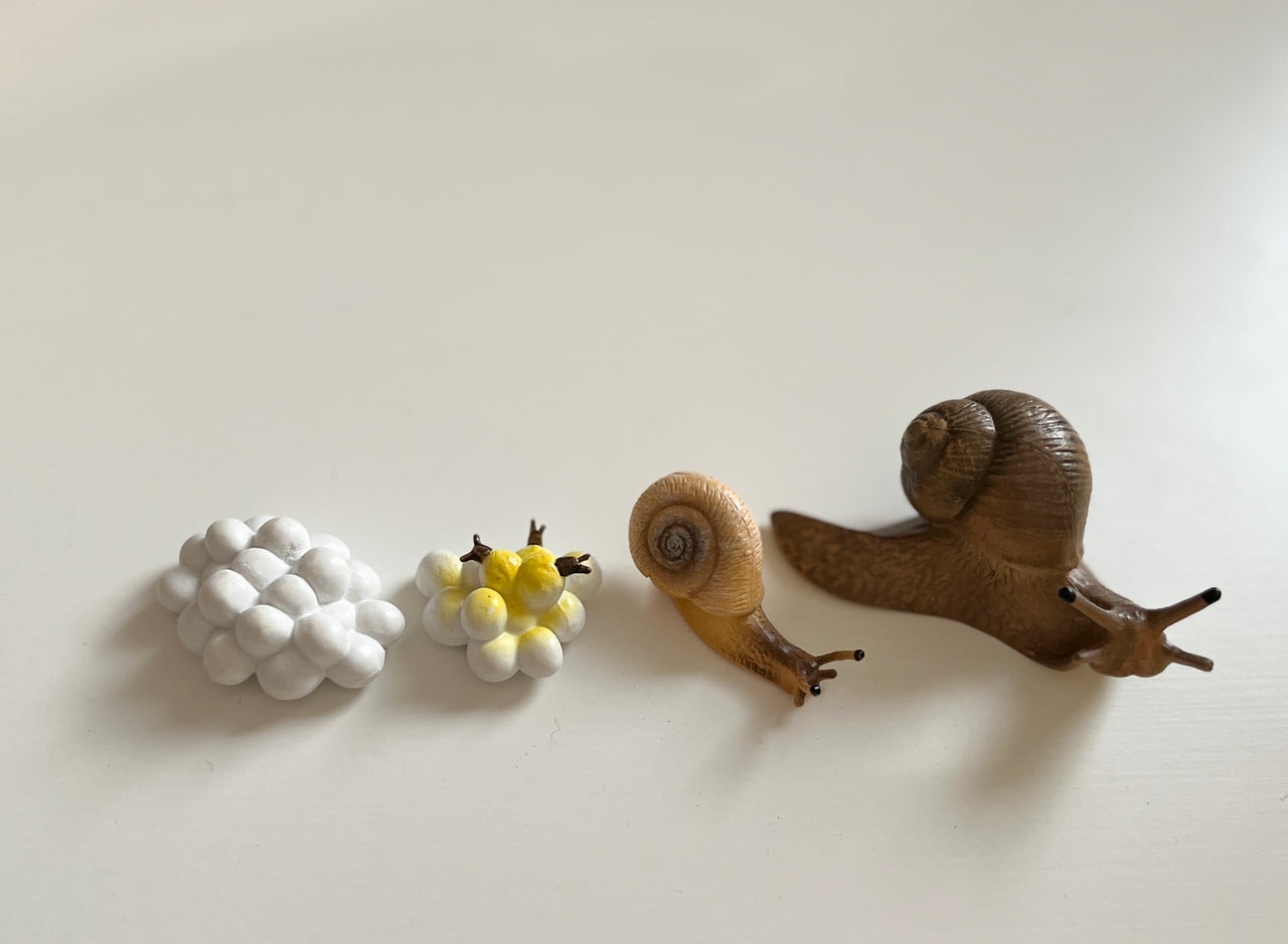 Two small cluster-shaped objects resembling grapes in white and yellow beside two realistic snail figurines on a light surface