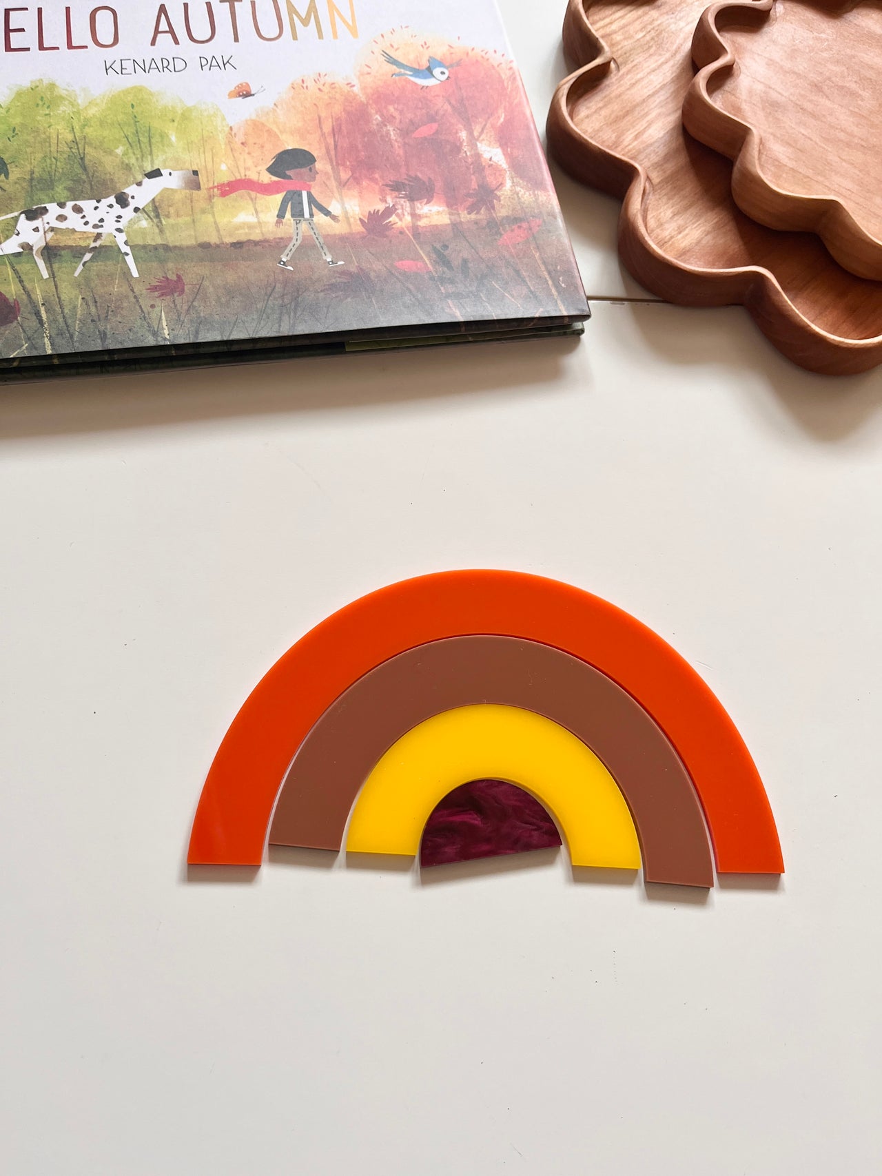 Little Dry Erasables - Autumn Rainbow