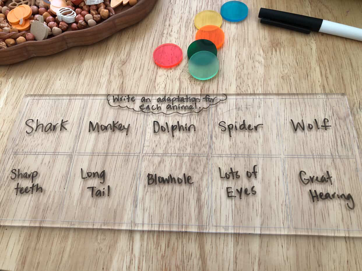 Acrylic Dry Erasable Flat Ten Frame  (5, 15 and 20 frames available too) — Fits across Trofast Bin like a Flisat Insert