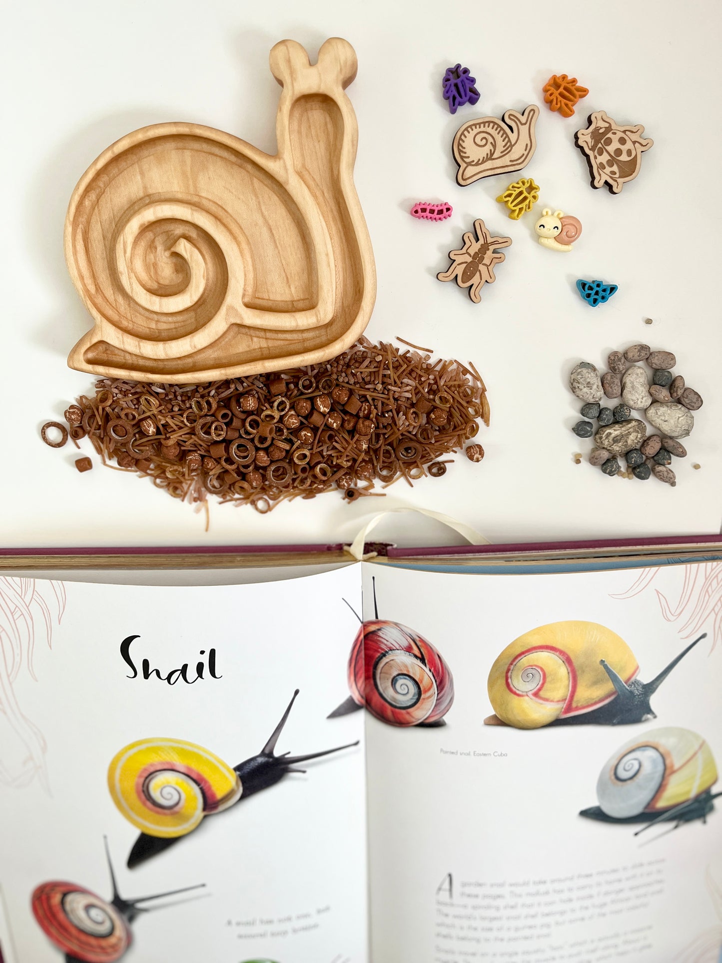 Mini Snail Plate / Sensory Tray