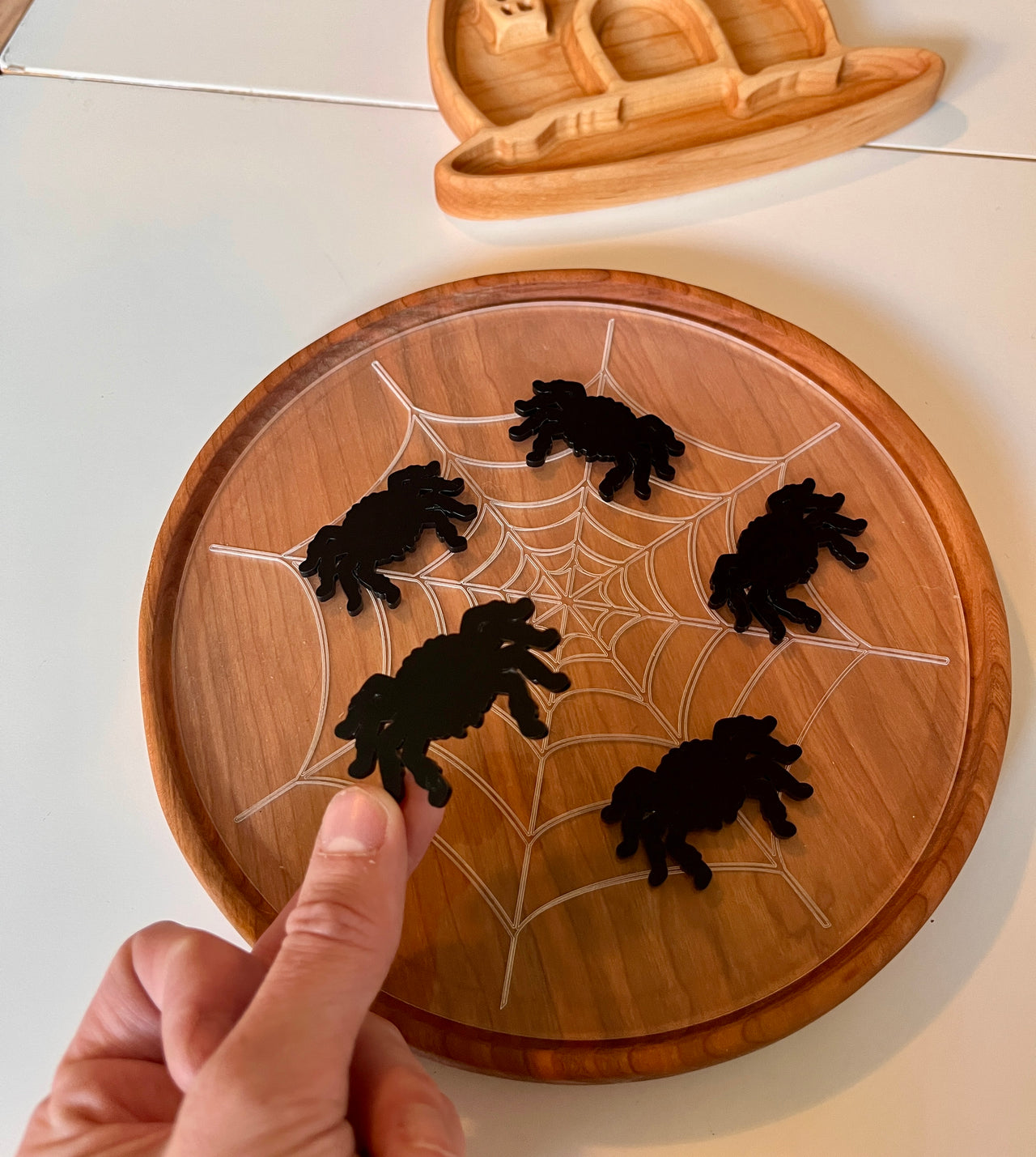 Little Dry Erasables — Spiders & Large Web; Fits Large Circle Tray