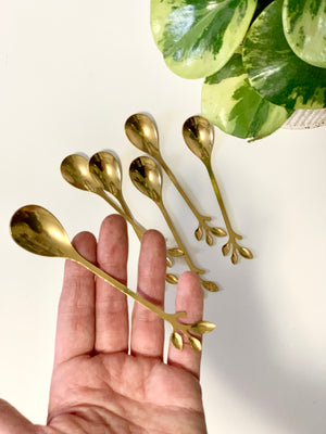 Hand holding one of six gold-toned spoons with three-pronged leaf-shaped handles next to variegated green plant leaves
