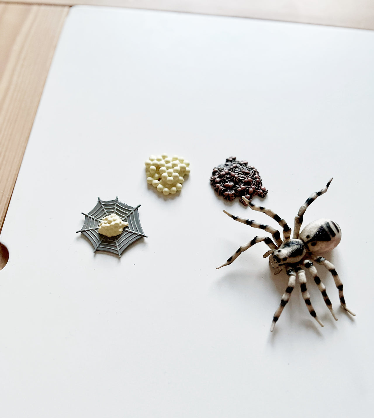 Realistic spider figurine with two clusters of small round objects and a grey spider web on a white wooden surface