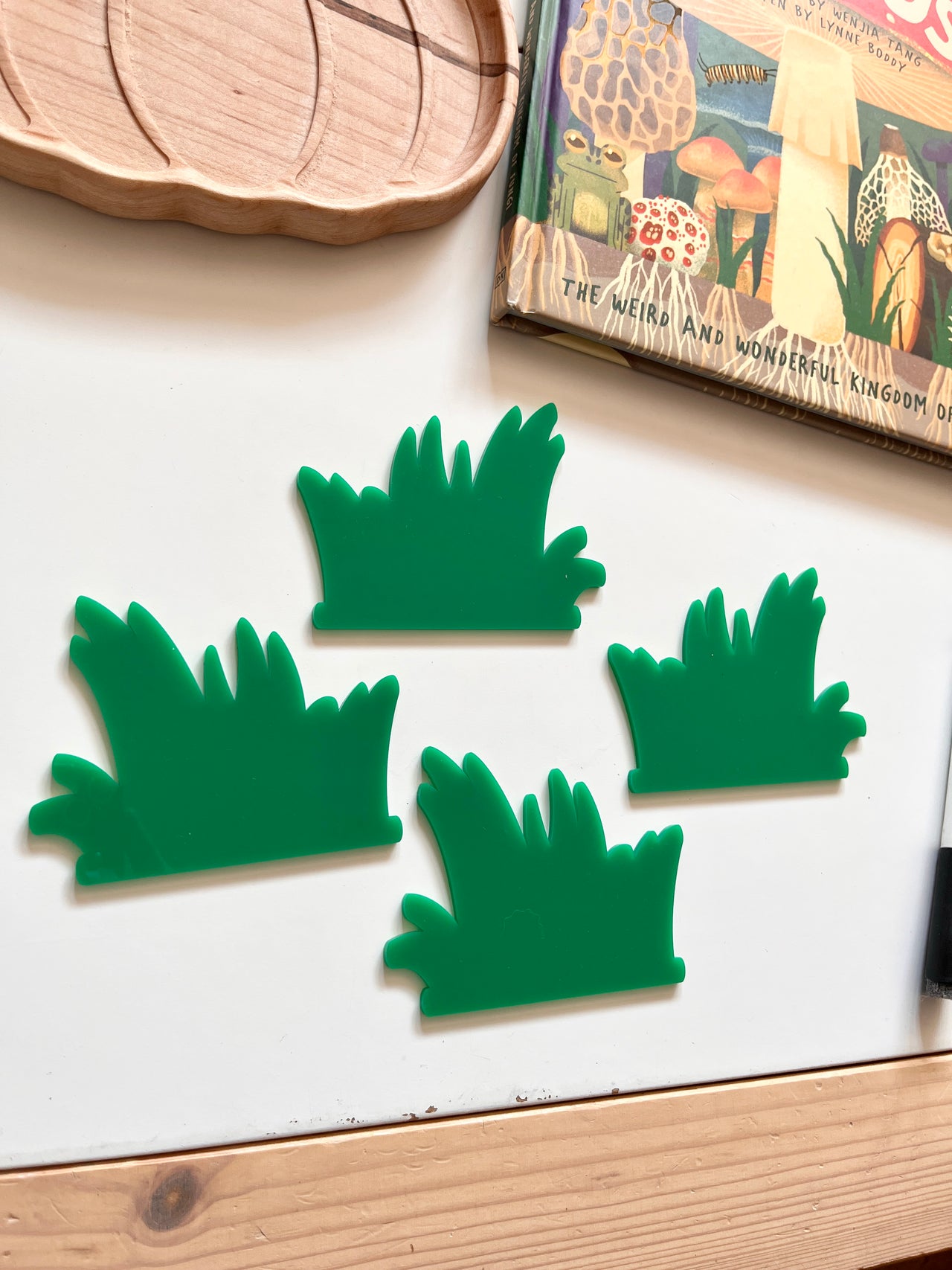 Little Dry Erasables - Tall Grass