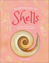 DK Little Anthologies; An Anthology of Shells; A Collection of Fascinating Shells from Around the World