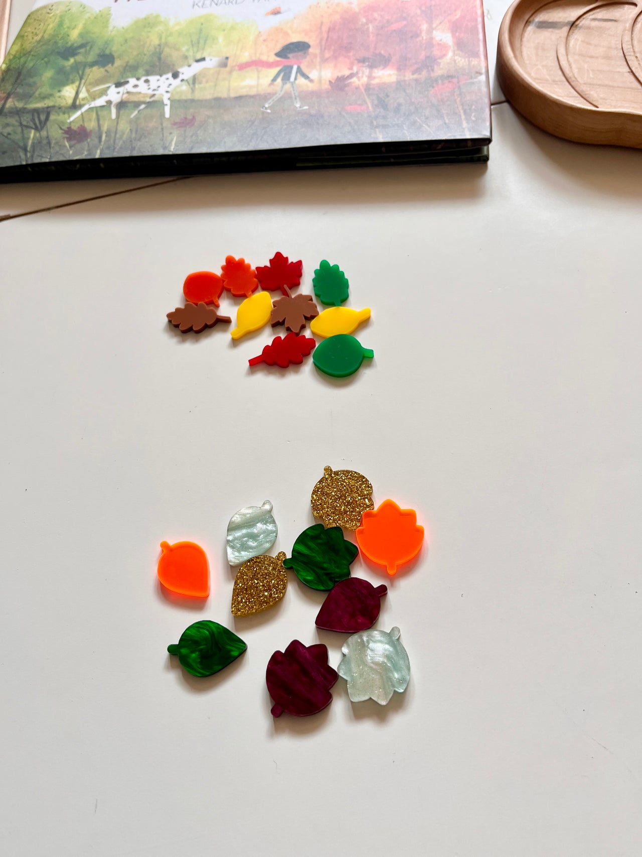 Little Dry Erasables - Mini Leaves (10)