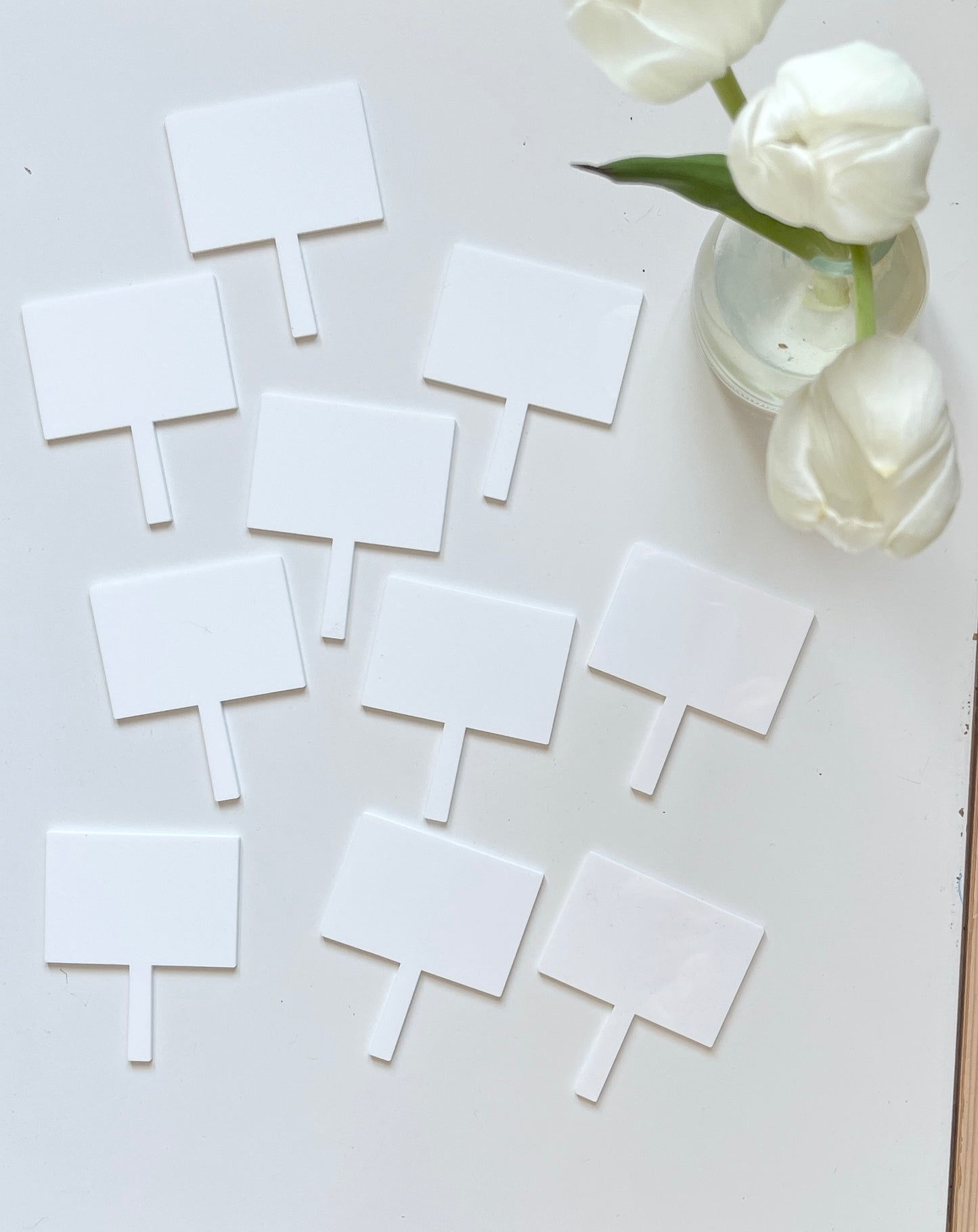 Little Dry Erasables — Signs / Picket Signs