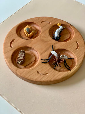 Round wooden board with four compartments holding insect life cycle figurines including mosquito and larvae models on beige surface