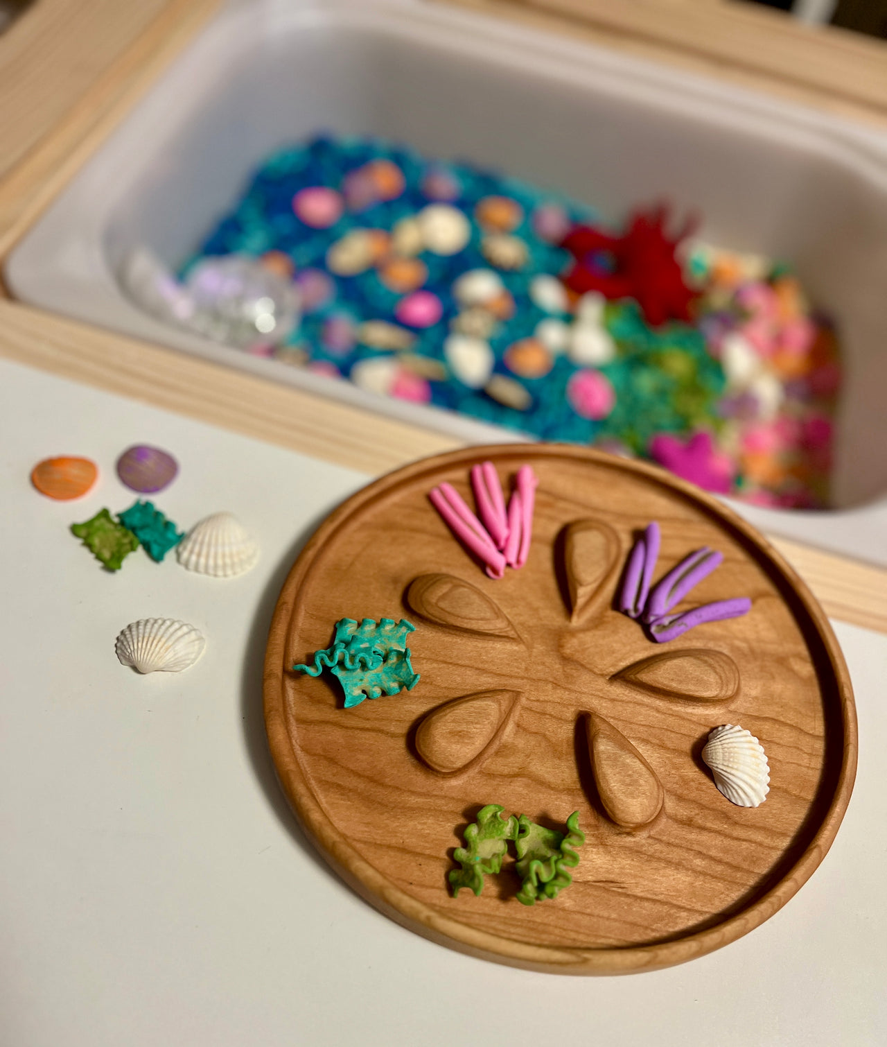 Wooden tray with felt seaweed shapes, white seashells, and colorful sensory materials near a sensory bin with beads and shells.