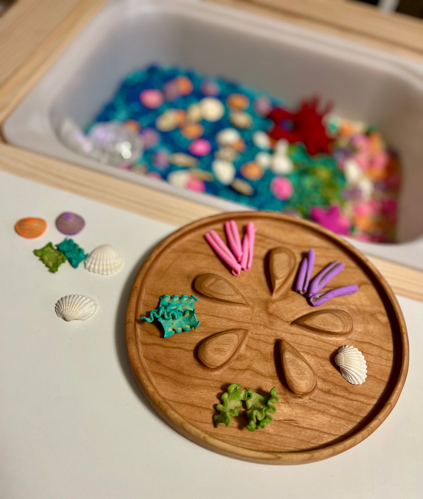 Sand Dollar / Citrus Slice Plate / Sensory Tray