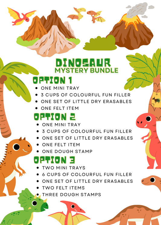 Dinosaur Mystery Box Bundle