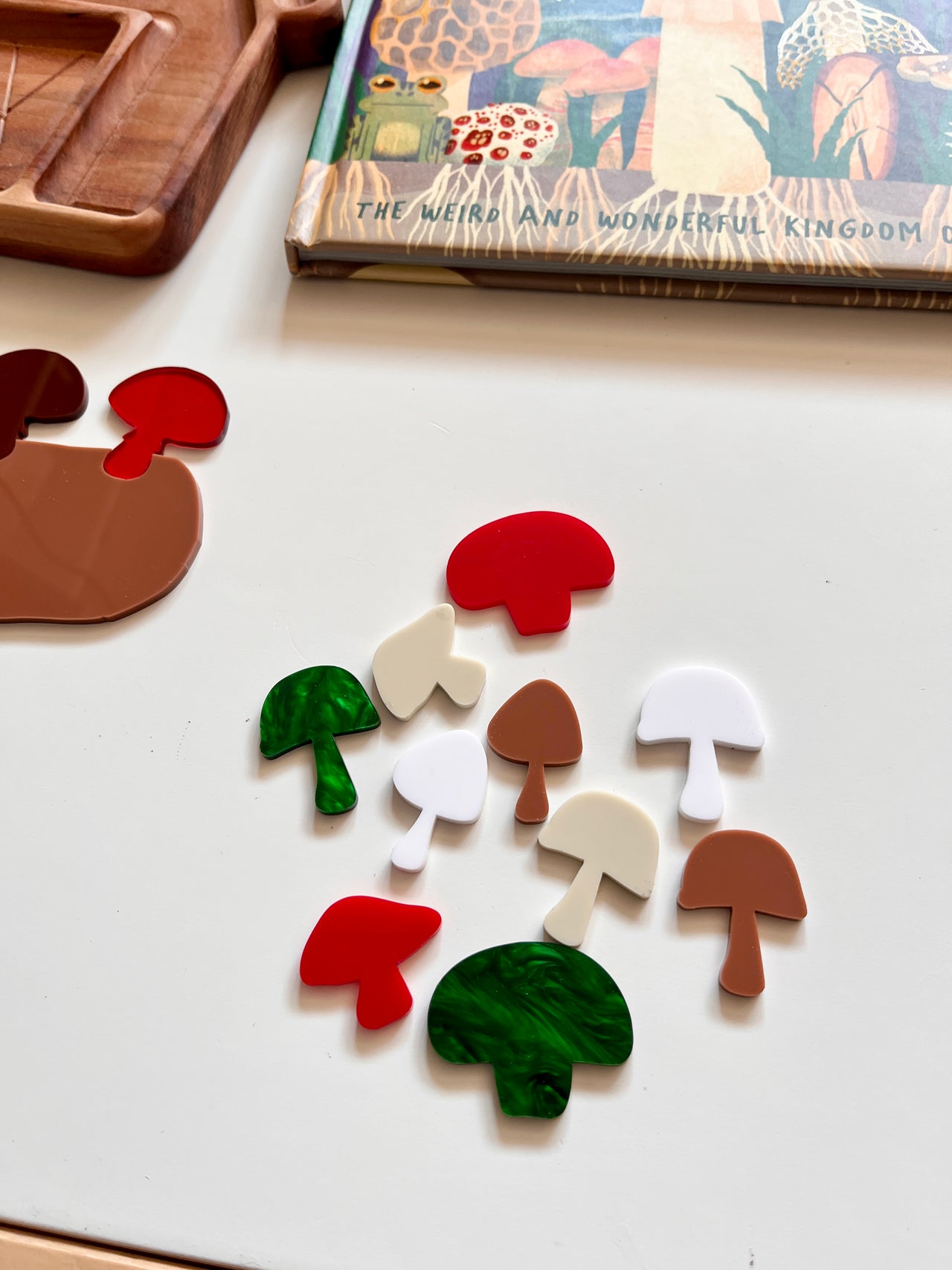 Little Dry Erasables - Set of Mushrooms (10)