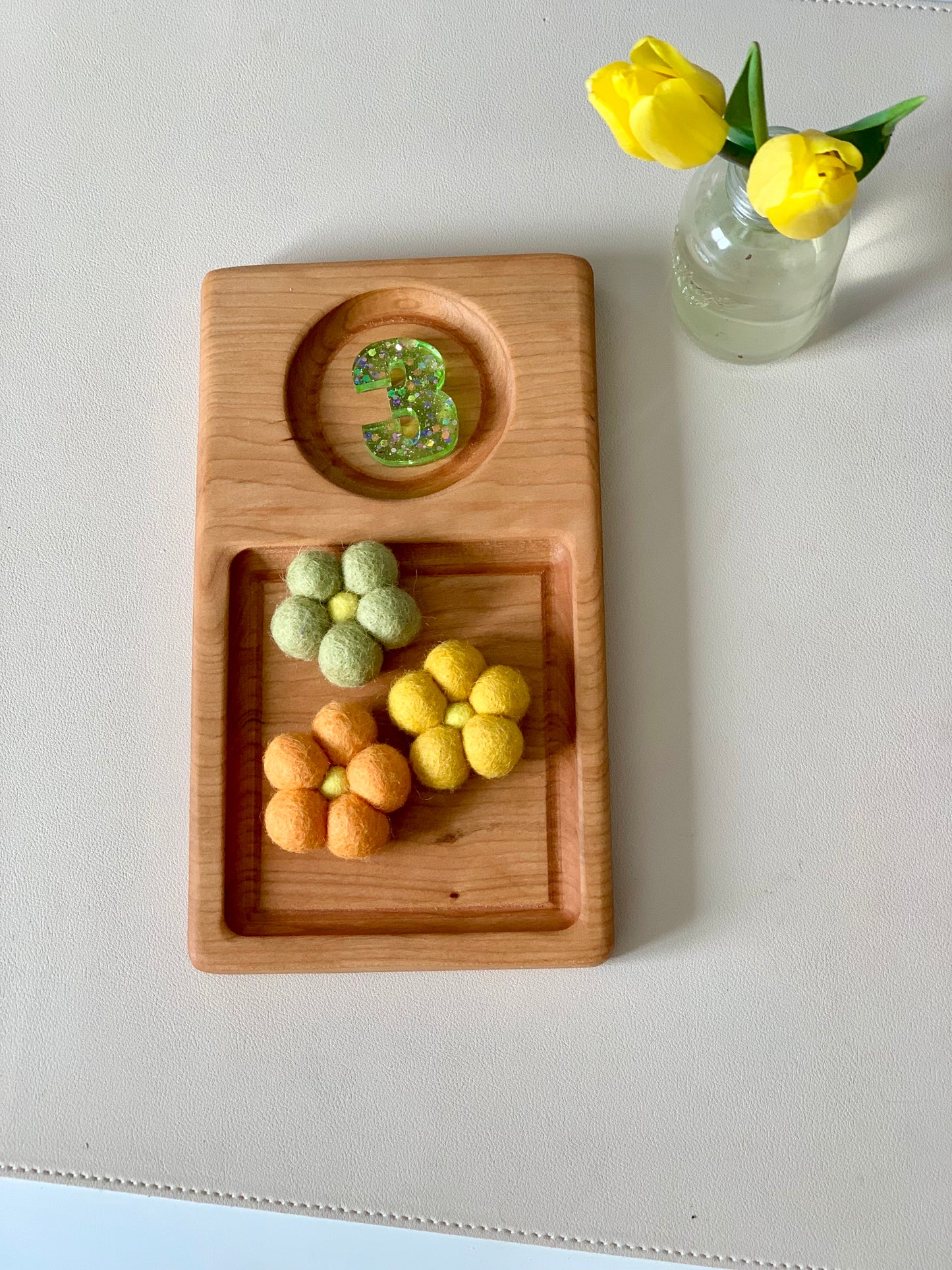 Salt & Sand Tray, Early Writing, Math, Counting & Coin Board / Sensory Tray