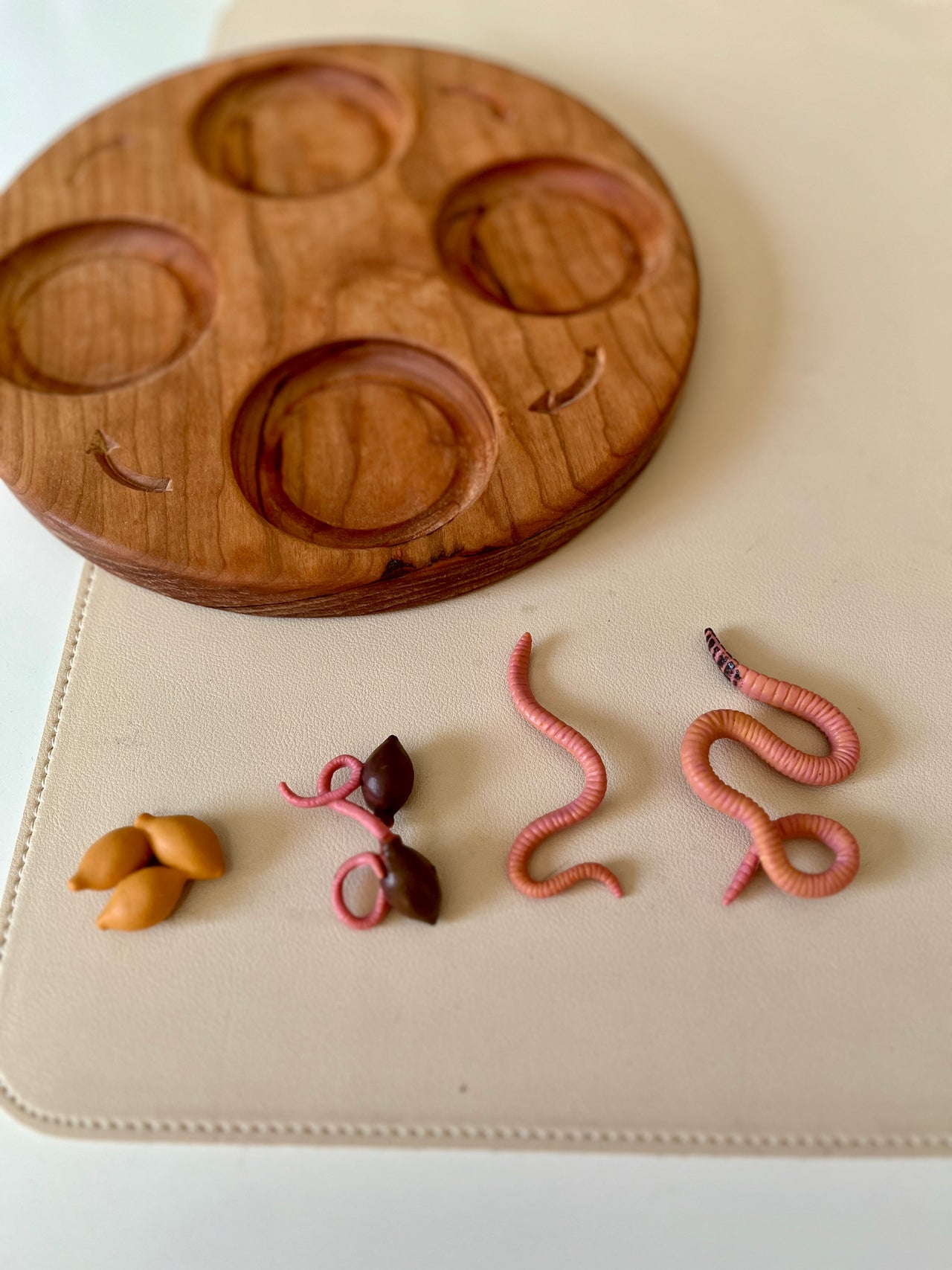 Round wooden tray with five circular indentations beside small realistic plastic worms and seeds on a cream surface