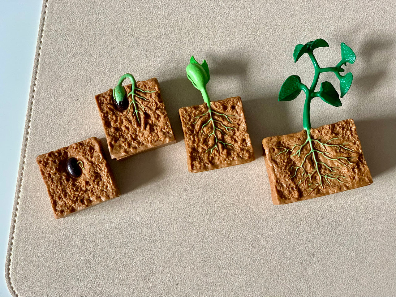 Four textured square tiles displaying stages of plant growth from seed to sprouting seedling with leaves on beige background