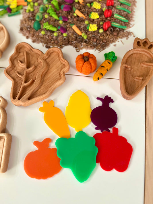 Little Dry Erasables - Harvest Vegetables