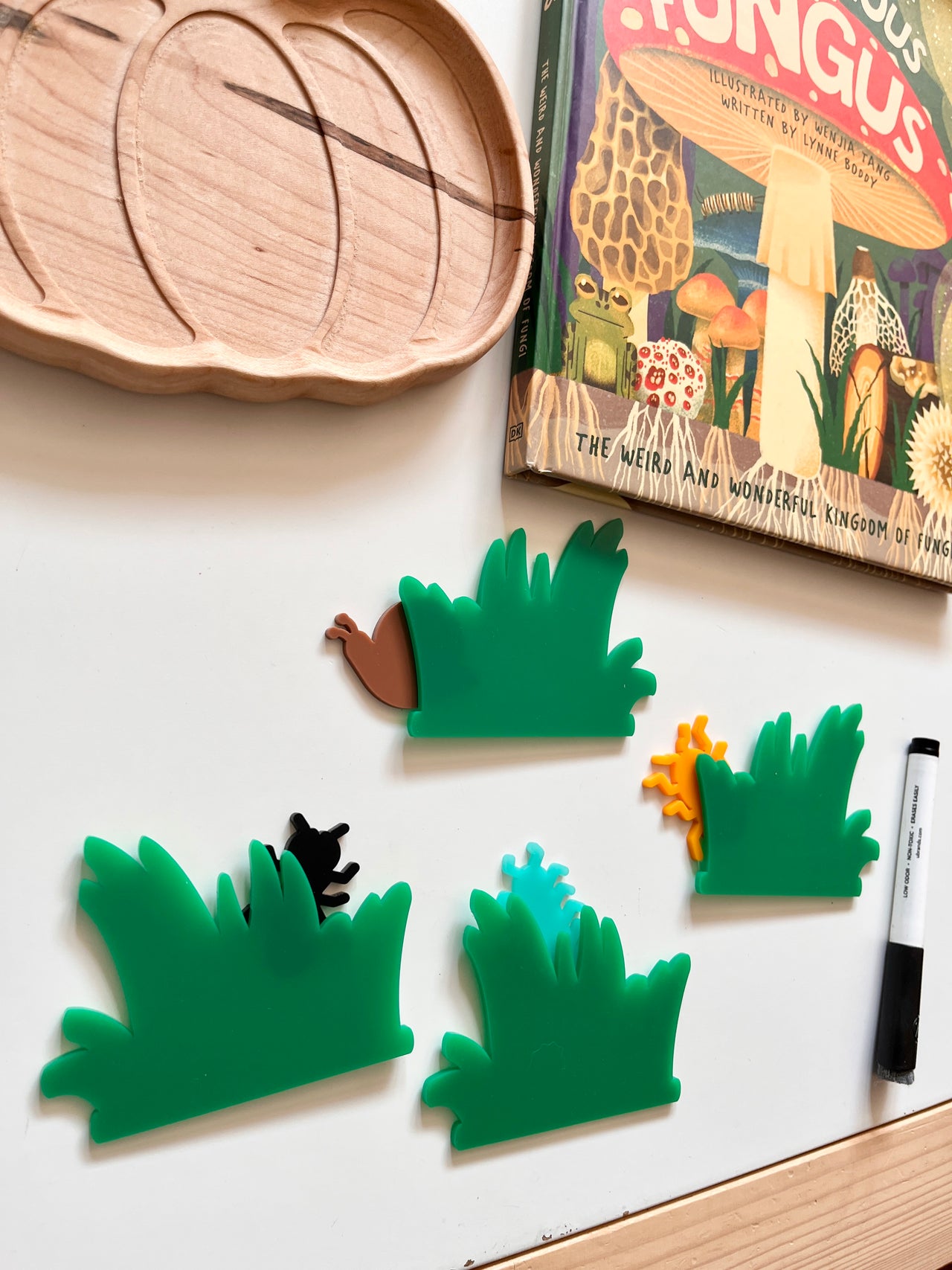 Little Dry Erasables - Tall Grass