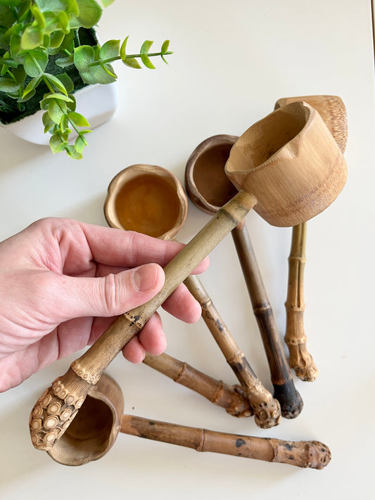 Sensory Scoop / Ladel