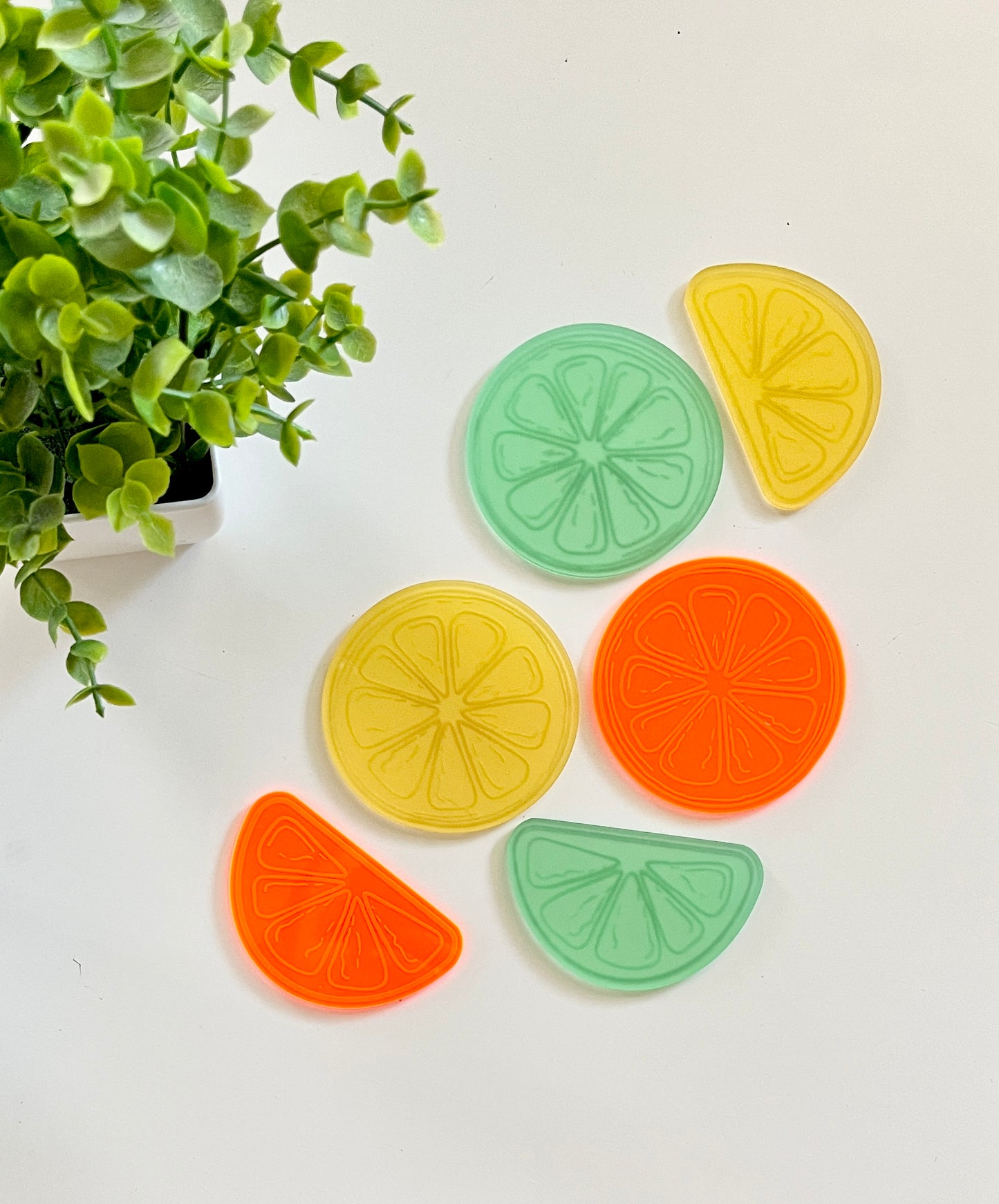 Little Dry Erasables — Set of 6 Citrus Fruit Slices