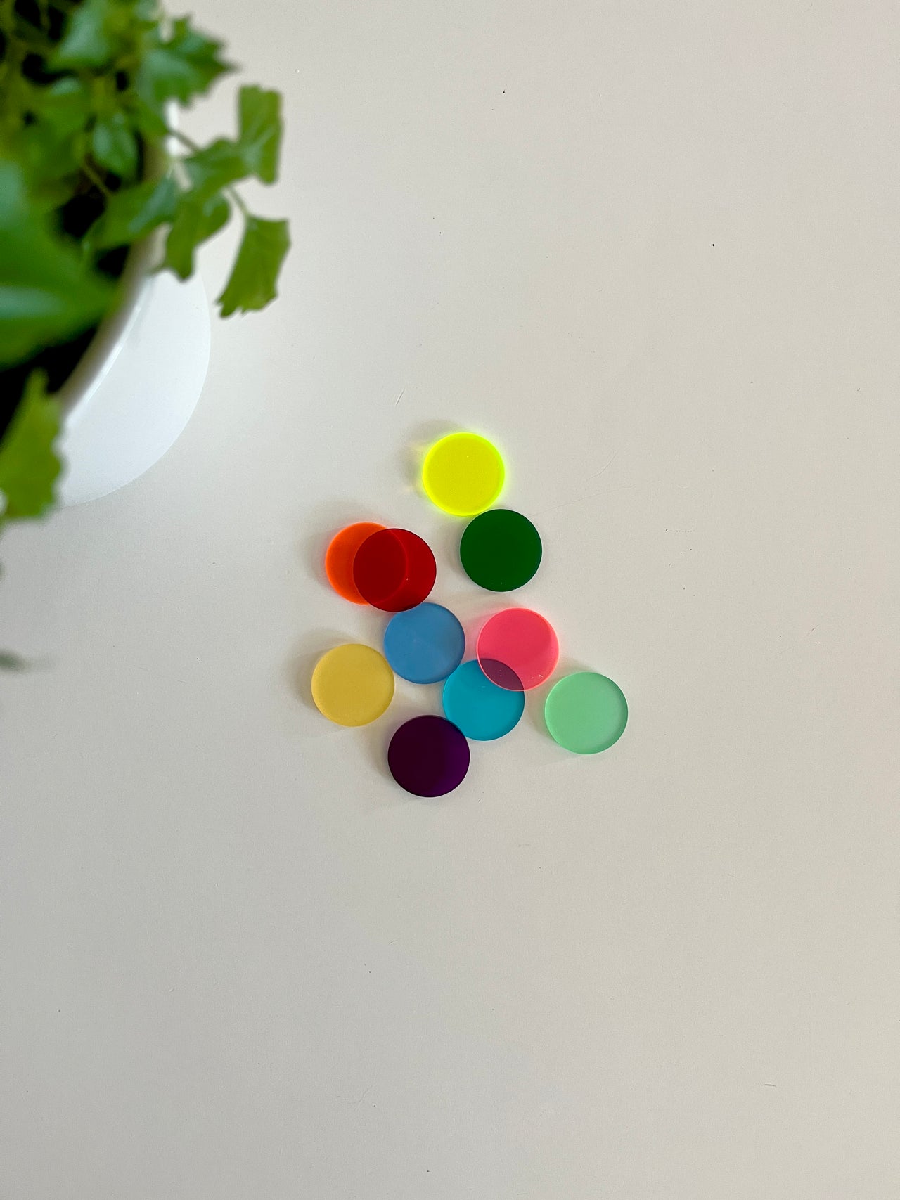 Assorted translucent colorful acrylic circles arranged loosely on a white surface with a green plant nearby