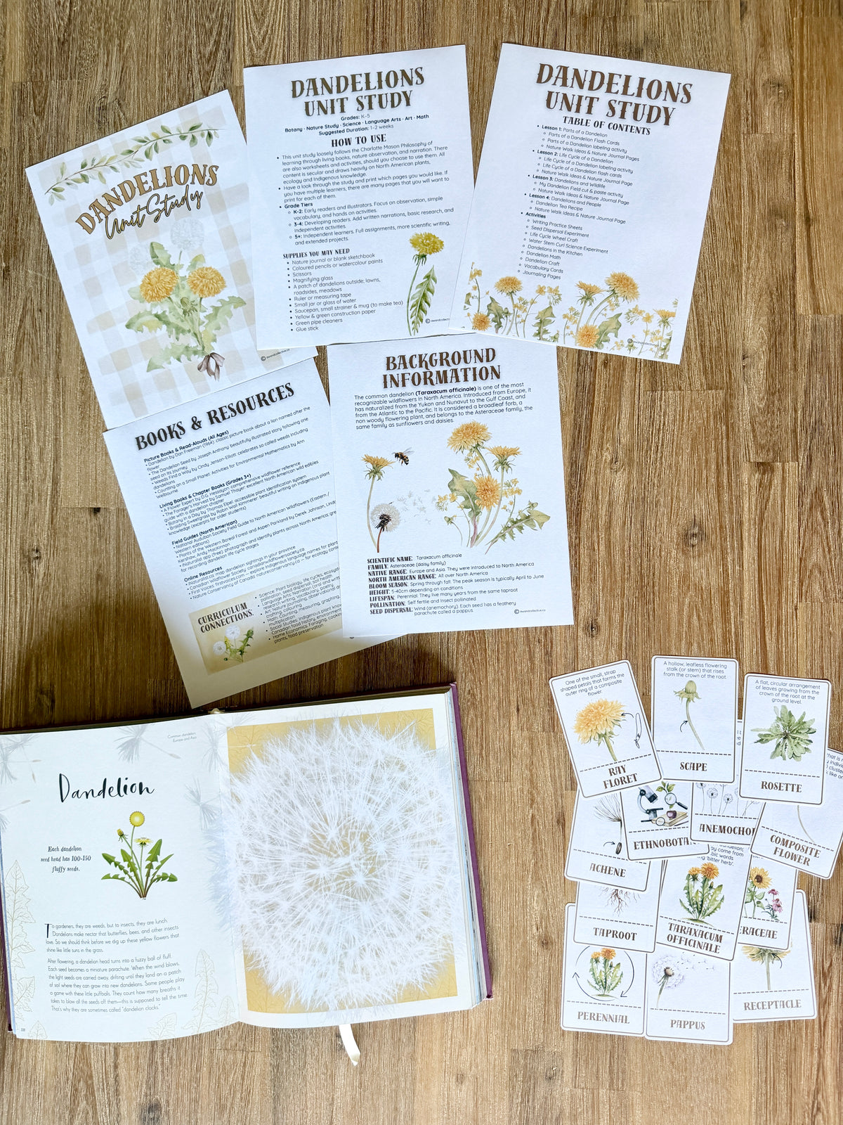 Digital Download | Dandelions Unit Study