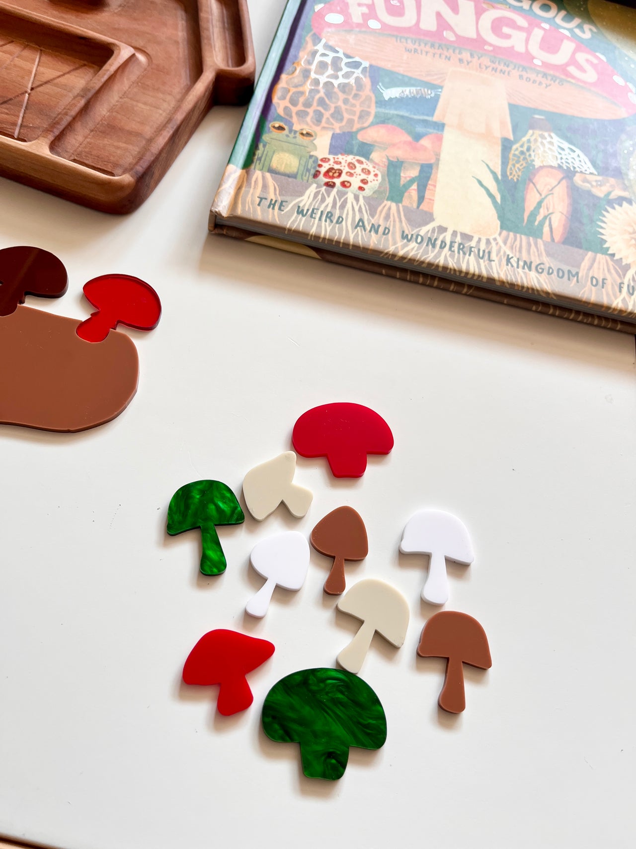 Little Dry Erasables - Set of Mushrooms (10)