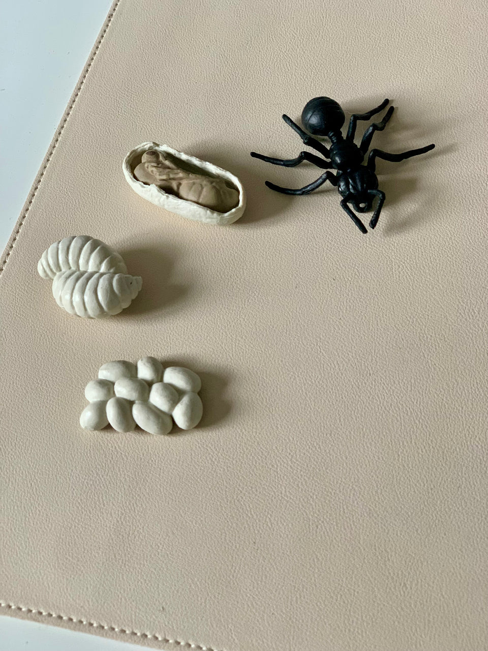 Plastic black ant toy with three beige clay molds of ant body parts on a light tan surface