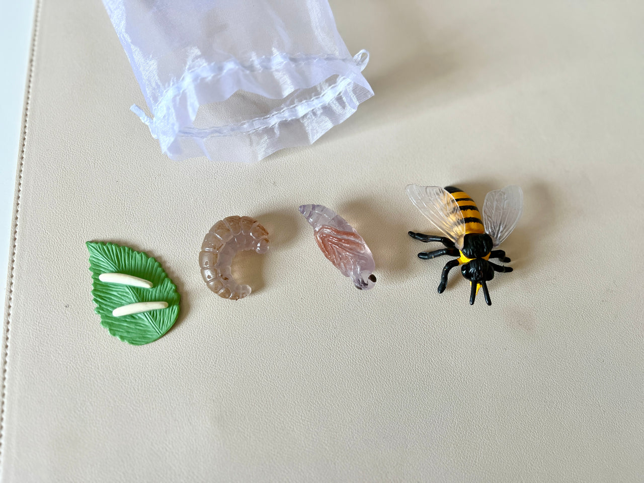 Detailed plastic insect life cycle models showing leaf, larva, pupa, and bee next to a white drawstring bag on light surface