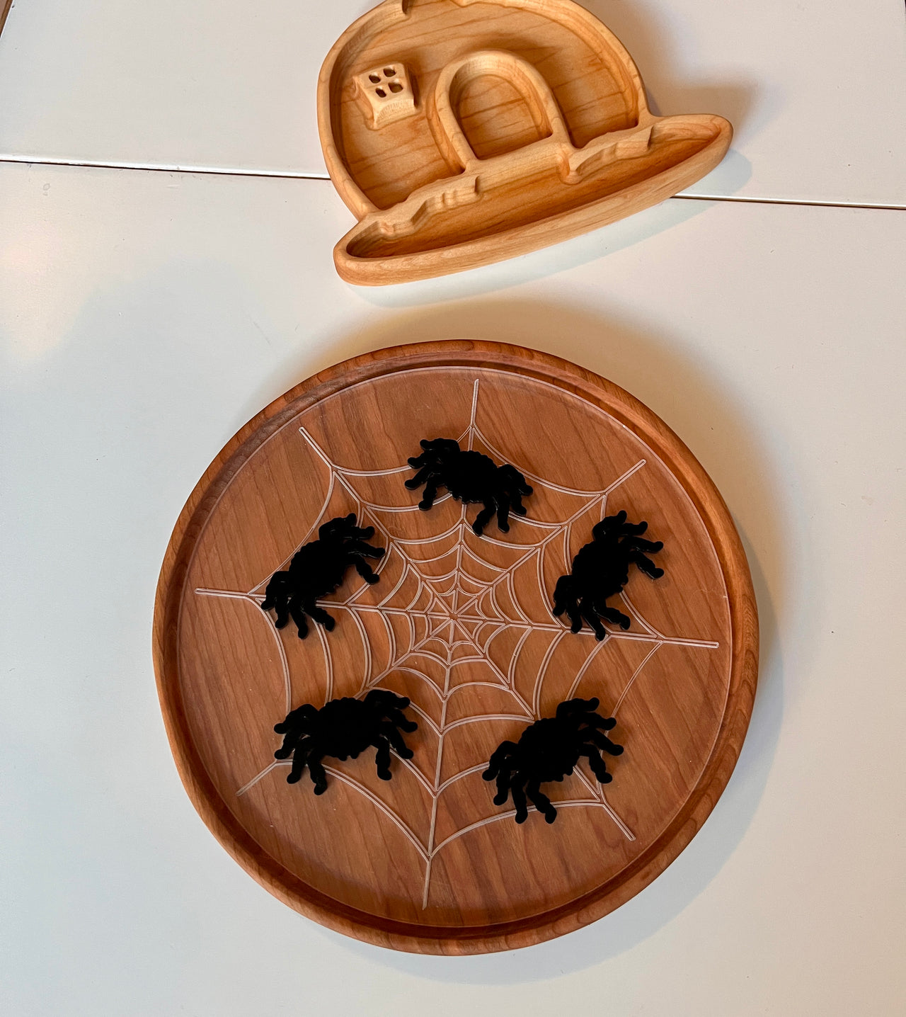 Little Dry Erasables — Spiders & Large Web; Fits Large Circle Tray