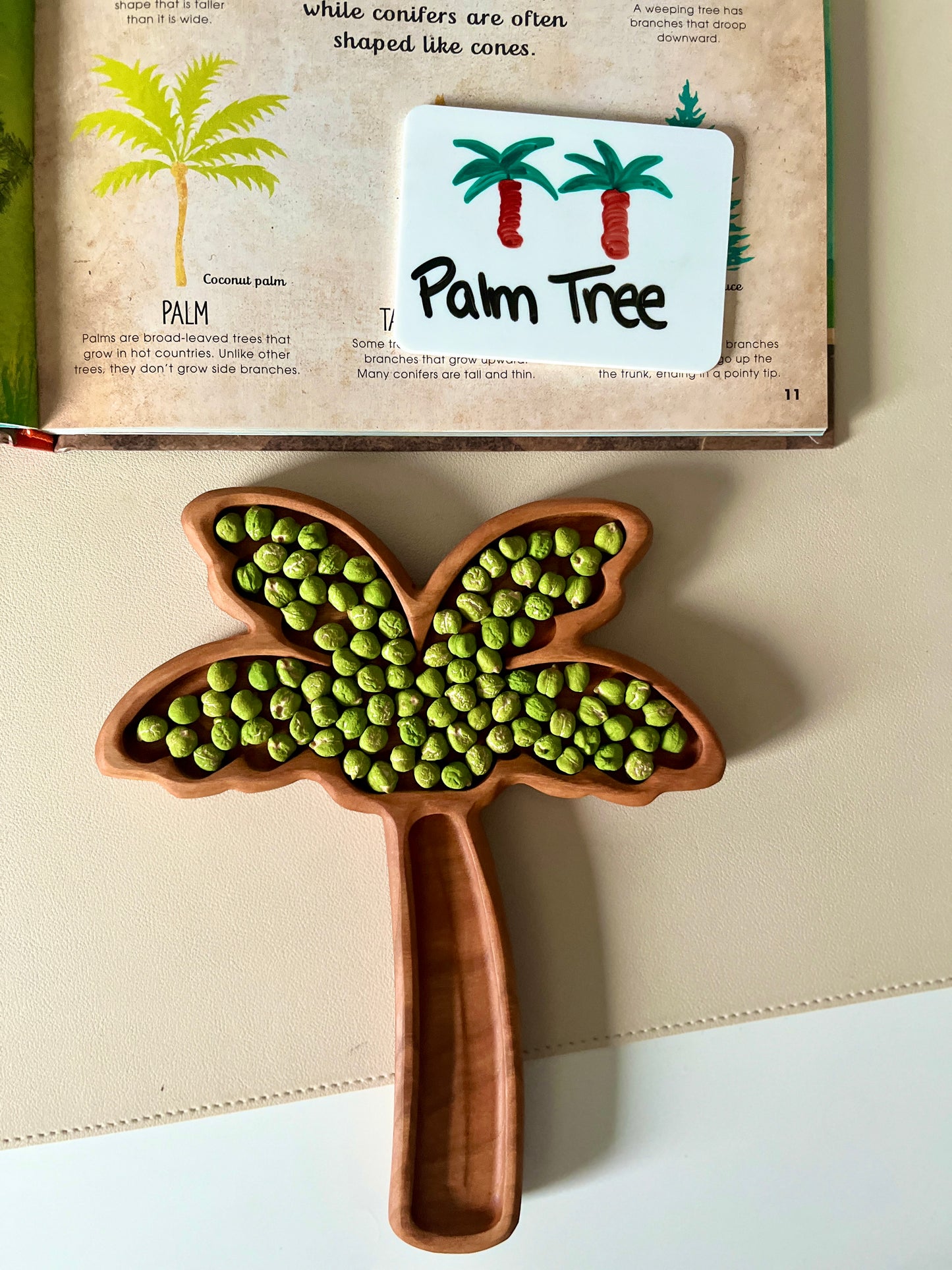 Palm Tree Plate / Sensory Tray