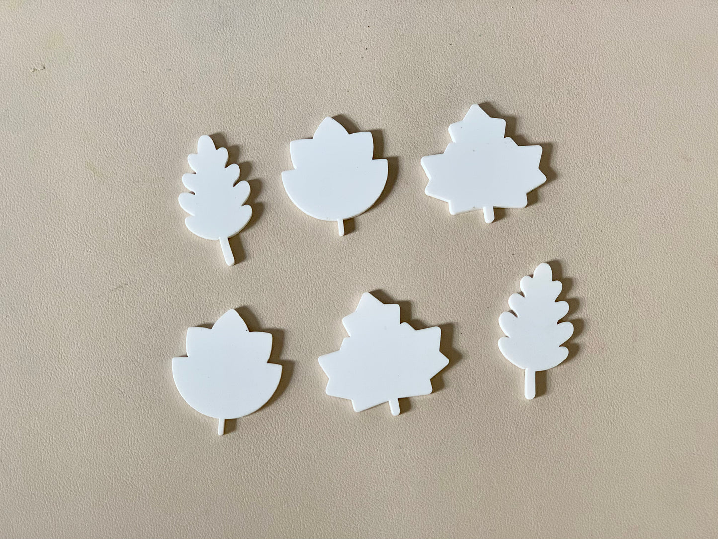 Little Dry Erasables - Leaves - Set of 6 - 2 sizes & more colours available