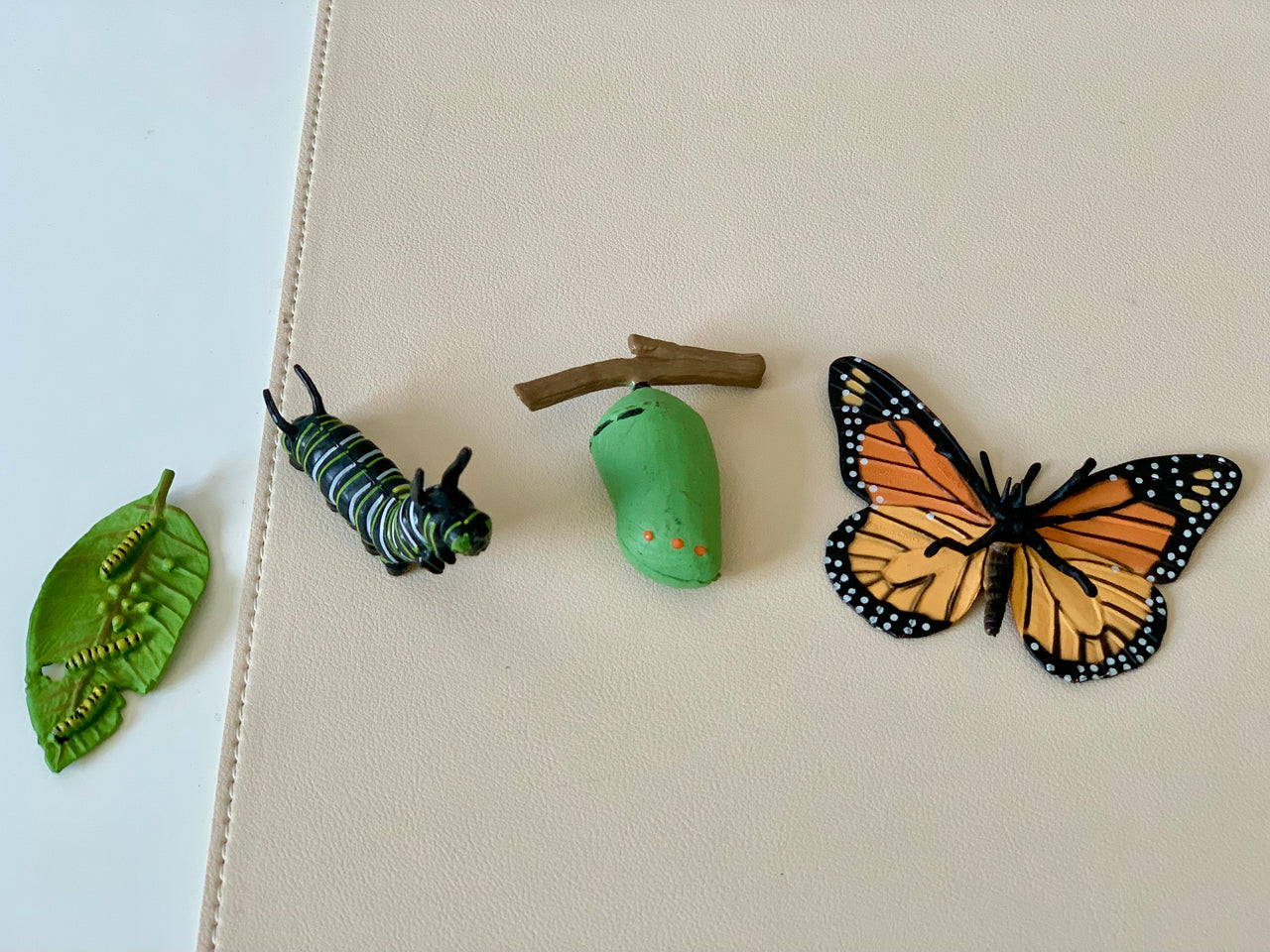 Four clay models showing stages of butterfly metamorphosis from caterpillar on leaf to chrysalis and adult butterfly on beige surface
