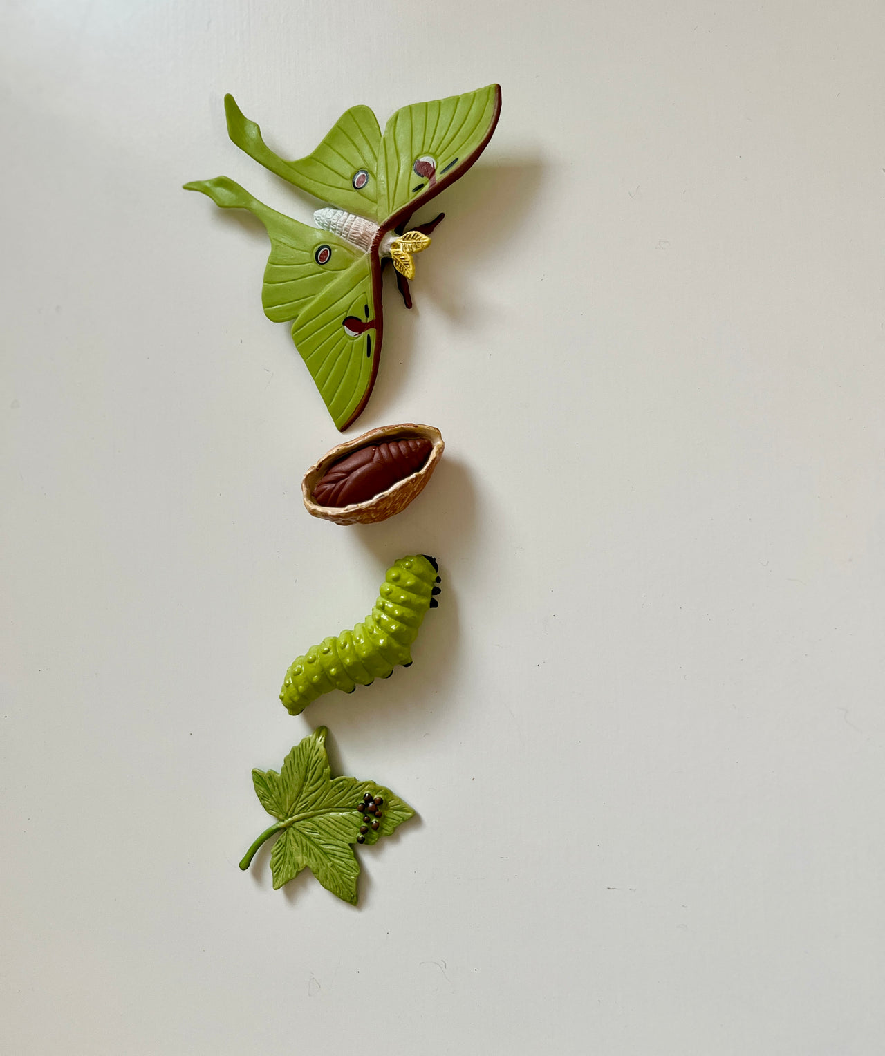Green luna moth figurine, brown chrysalis, green caterpillar, and a green leaf with tiny black insects on a white background