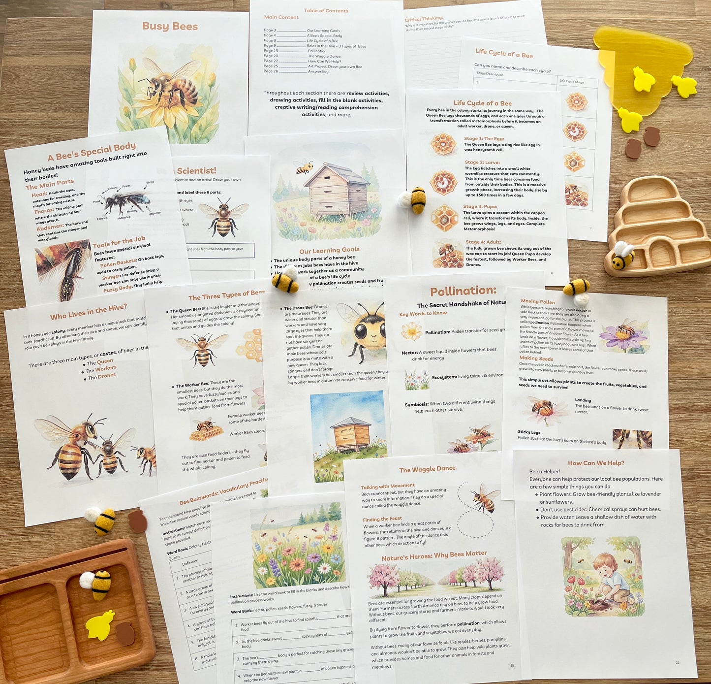 Digital Download | Bees Unit Study