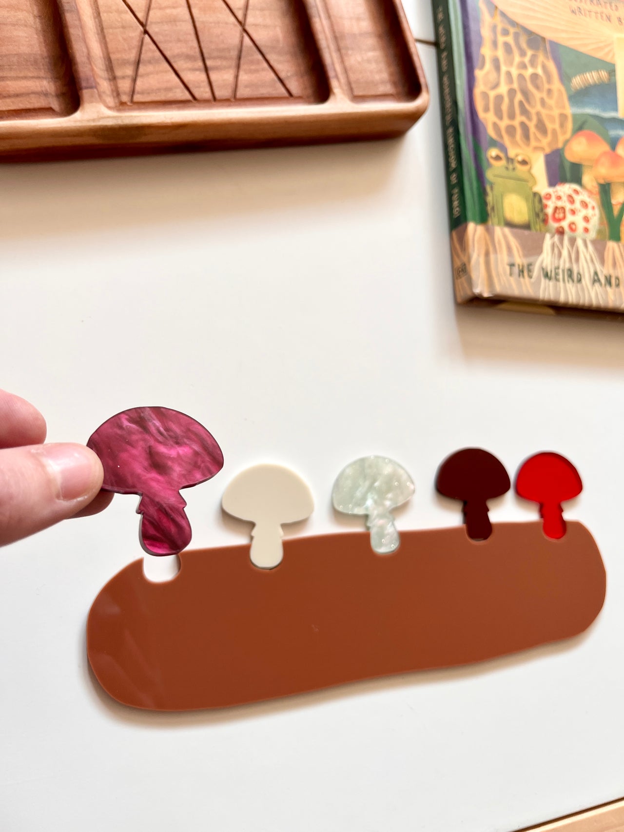 Little Dry Erasables - Mushrooms on a Log